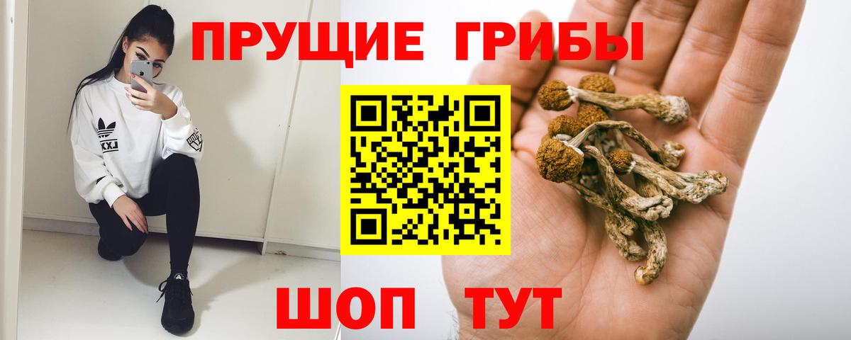 Псилоцибиновые грибы мухоморы Новоалександровск